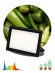 Фитопрожектор Эра FITO-200W-Ra90-LED Б0059879