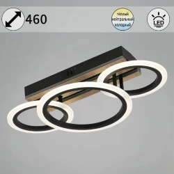 Потолочный светильник Reluce 00330-0.3-2+1