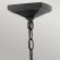 Уличный подвесной светильник Hinkley QN-ALFORD-PLACE8-L-MB