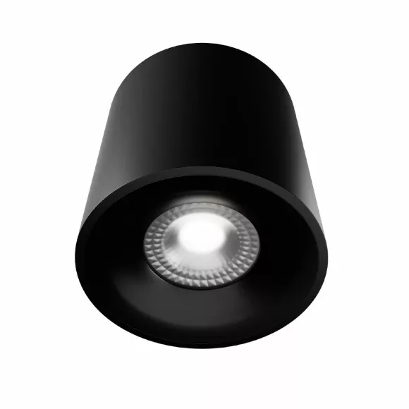 Накладной светильник Lightera Shamrock LE201CL-1BB