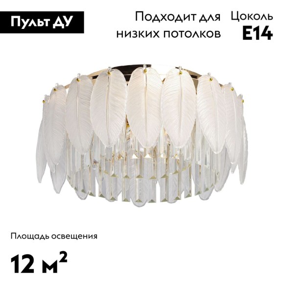 Потолочная люстра с пультом управления De Markt Бриз 111017305