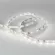 Светодиодная лента Arlight RT-A60-8mm 12V Day5000 CRI98 (7.2 W/m, IP20, 2835, 5m) 021404(2)