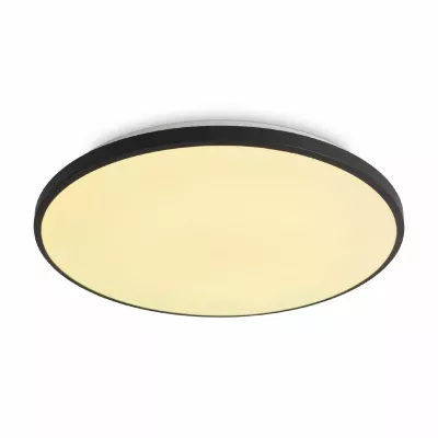 Потолочный светильник Freya Obelle FR6211CL-L24B