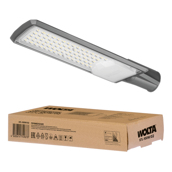 Уличный консольный светильник WOLTA STL-100W/02