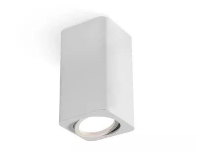 Потолочный светильник Ambrella Light Techno Spot XS7820010 (C7820, N7710)