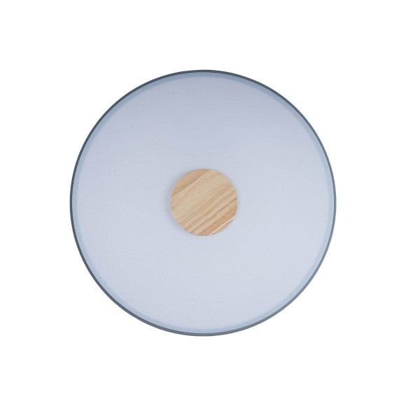 Потолочный светильник Loft IT AXEL 10003/24 Grey