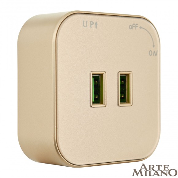 Трековая розетка Arte Milano Am-track-sockets 380022TS/USBx2 Gold