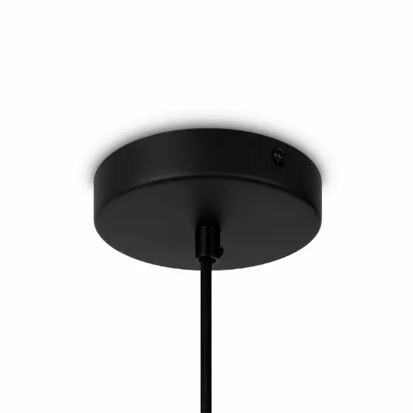 Подвесной светильник Maytoni Roots MOD195PL-01W1 Подвесной светильник Maytoni Roots MOD195PL-01W1