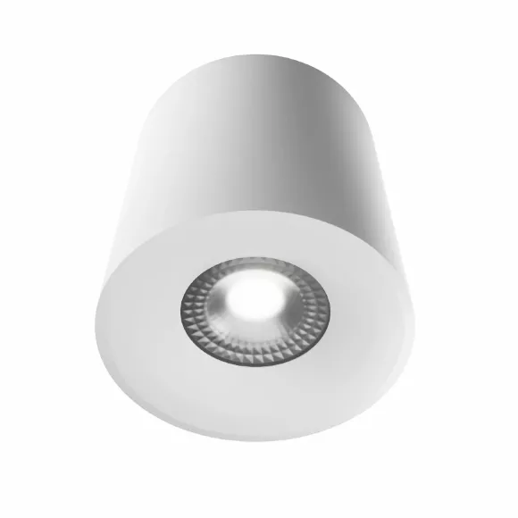 Накладной светильник Lightera Shamrock LE201CL-1WB
