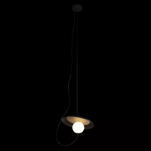 Подвесной светильник Loft IT Wonders 10237P Black