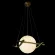 Подвесной светильник Loft IT Swing 10424/250, крупный план