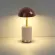 Настольная лампа беспроводная Odeon Light L-Vision Lulu 5453/3TL, 3000, Теплый белый