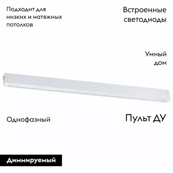 Трековый однофазный светильник Lightstar Teta 205246