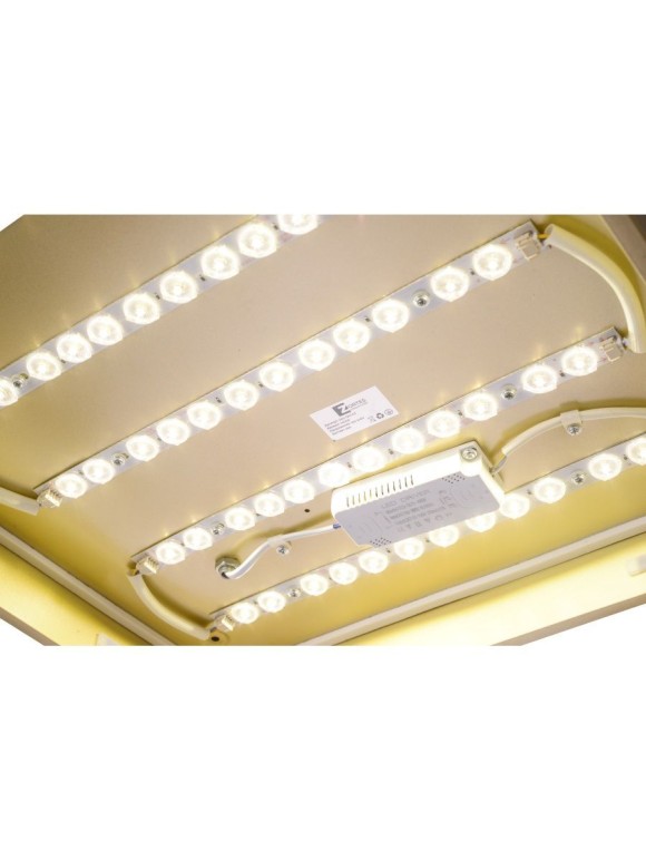 Потолочный светильник Zortes Gabby ZRS.1215.03