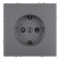Розетка 1-местная с з/ш с/з (механизм) СЗК Stekker Эмили 250В 16А RST16-5110-10ZK платиново-серый soft touch 50243