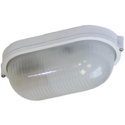 Настенно-потолочный светильник ЭРА НБП 04-100-001 Б0048424