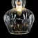 Подвесной светильник Maytoni Eustoma MOD238-PL-01-TR, Хром