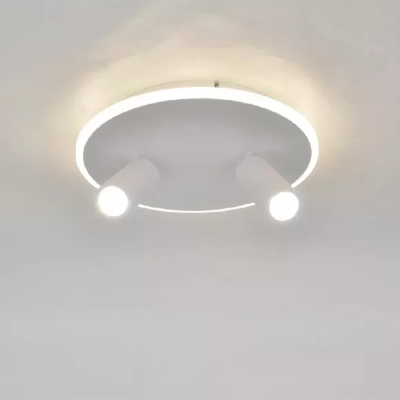 Настенно-потолочный светильник Escada 20046SMA/02LED WH Настенно-потолочный светильник Escada 20046SMA/02LED WH