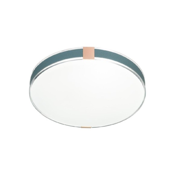 Настенно-потолочный светильник Sonex Otiga blue 7677/EL