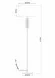 Схема размеров торшер Arte Lamp Taygeta A4097PN-1CC