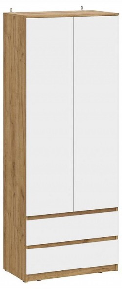 Шкаф платяной Денвер ARN_00-00166403