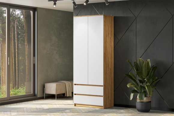 Шкаф платяной Денвер ARN_00-00166403