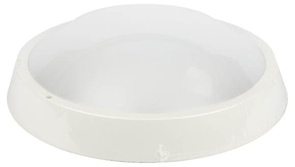 Настенно-потолочный светильник Эра SPB-203-0-65К-024 Б0062684