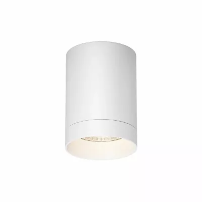 Уличный потолочный светильник Maytoni Luxe O500CL-L10W3K