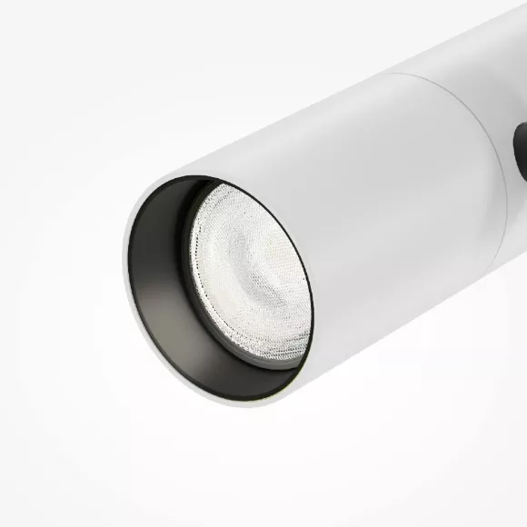 Трековый магнитный светильник Maytoni Elti Duo TR005-4-2X12W-DS-BW, Черный, Белый, От теплого до холодного