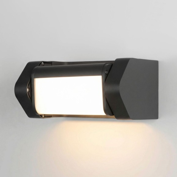 Уличный настенный светильник Elektrostandard DORS 35163/D черный 4690389219306 a072077