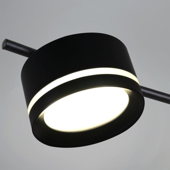 Потолочная люстра Reluce 10590-0.3-06 Black