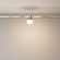 Трековый магнитный светильник Maytoni Luna TR149-1-5W3K-PT