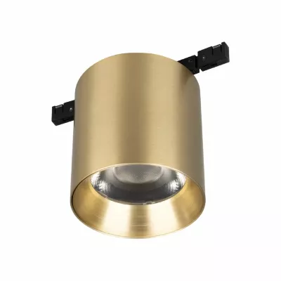 Трековый магнитный светильник Arlight MAG-MICROCOSM-POINT-R68-7W Day4000 (BR, 36 deg, 24V) (IP20 Металл) 051831