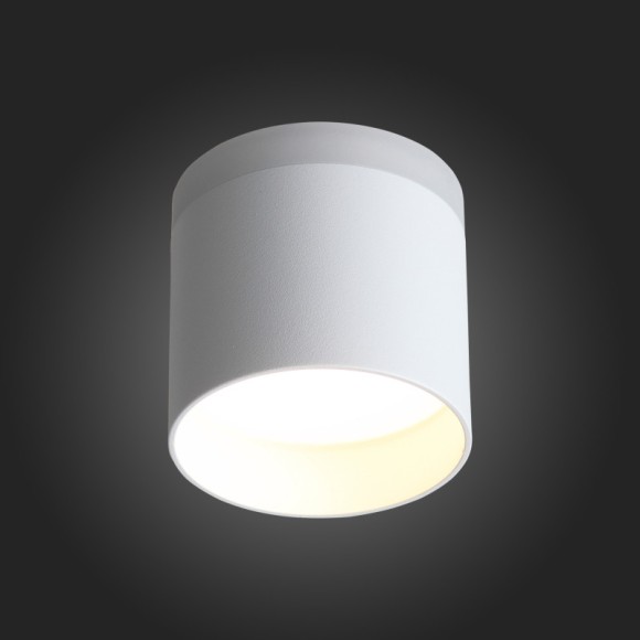 Накладной светильник ST Luce ST102.502.12