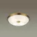 Настенно-потолочный светильник Odeon Light Pelow 4956/4