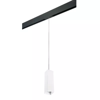 Трековый светильник Lightstar Rullo PRORP6596 (216596+595987)