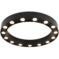 Потолочный светильник Favourite Attica 3007-15U