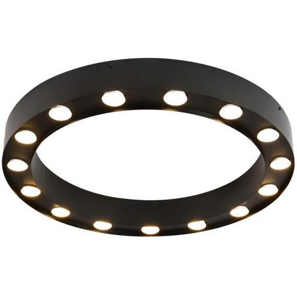 Потолочный светильник Favourite Attica 3007-15U