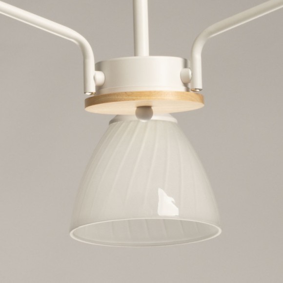 Люстра на штанге De Markt Дэла 116010103