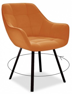 Стул DikLine 252 М DKM_00-00061882