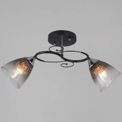 Потолочный светильник Reluce 13560-0.3-02 BK+CR