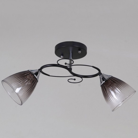 Потолочный светильник Reluce 13560-0.3-02 BK+CR