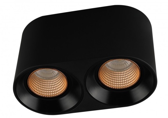 Потолочный светильник Denkirs Rodvig DK3096-BK+BR