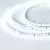 Светодиодная лента Arlight RT 2-5000 24V Cool 8K 5mm 2x (3528, 600 LED, LUX) 015650(B)