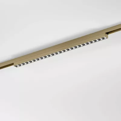 Трековый магнитный светильник Elektrostandard 85529/01 4690389218750 a071850