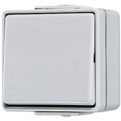 Выключатель одноклавишный Jung 606W