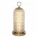 Настольная лампа ST Luce Saguaro SL6144.304.01
