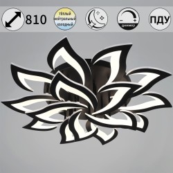 Потолочная светодиодная люстра Reluce 30150-0.3-10+5 BK