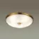 Настенно-потолочный светильник Odeon Light Pelow 4956/5, Бронза, Белый, Металл