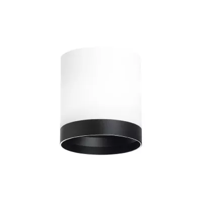 Накладной светильник Lightstar Rullo (213486+203487) R34863487
